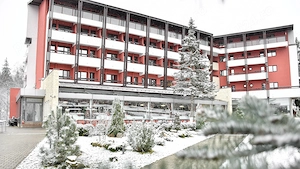 REVELION - Hotel Carpati - imagine 4