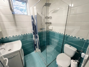 Casa un dormitor, 45 mp, zona Dambul Rotund - imagine 4