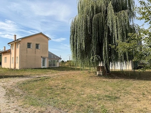 Casa cu teren 10.000mp si foarte multe posibilitati - imagine 3