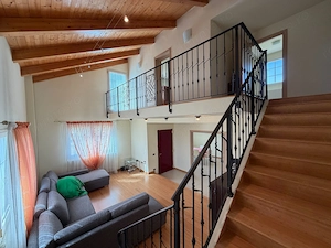 Casa cu teren 10.000mp si foarte multe posibilitati - imagine 10