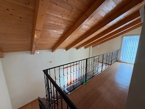 Casa cu teren 10.000mp si foarte multe posibilitati - imagine 11