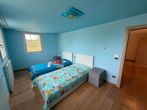 Casa cu teren 10.000mp si foarte multe posibilitati - imagine 19