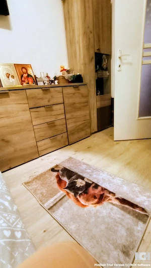  Apartament cu 2 camere de vânzare   Iris, strada Oașului - imagine 3