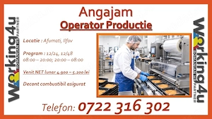 Operator Productie in zona Afumati