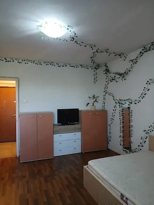 garsoniera costin georgian-metrou 5 minute-modern-stradal - imagine 4