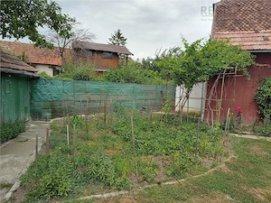Casa de 3 camere, 500mp teren+bucatarie de vara+sura-Bod - imagine 13
