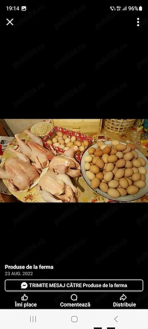 Vând găini bio 100la 100 natural