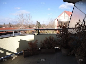 3 Camere de inchiriat | Primaverii | Parcare | Pet-Friendly | Centrala - imagine 10