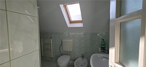 Remetea Mare | Casa individuala, P+M |  1219 mp, Comision ZERO Cumparator - imagine 11