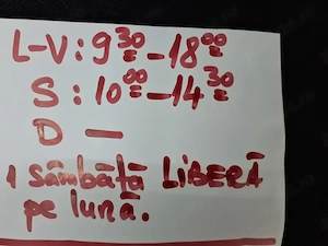 Vanzatoare minim 40 ani