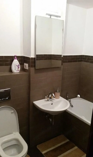 Garsonieră de închiriat în zona Take Ionescu - imagine 4