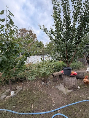 Vanzare teren 330 mp, in Galati, zona Traian-Penitenciar, utilitati la limita - imagine 7