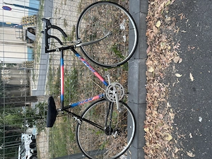 Bicicleta vintage cursiera