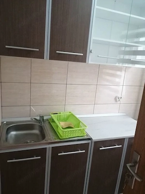 Garsonieră de închiriat în zona Buziașului - imagine 2