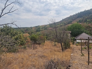 Casă de Vacanță & Teren Generos 2.755 mp | Dealul Viilor, Ineu (Arad)   Intravilan, Panoramă  - imagine 3