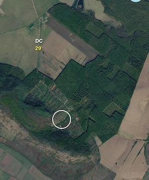 Casă de Vacanță & Teren Generos 2.755 mp | Dealul Viilor, Ineu (Arad)   Intravilan, Panoramă  - imagine 10