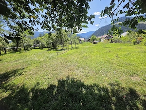 Teren 1350mp - Borca - poaiana Sabasei -Intravilan - imagine 6
