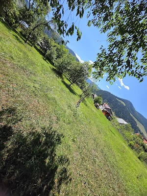 Teren 1350mp - Borca - poaiana Sabasei -Intravilan - imagine 3