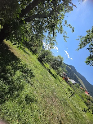 Teren 1350mp - Borca - poaiana Sabasei -Intravilan - imagine 5