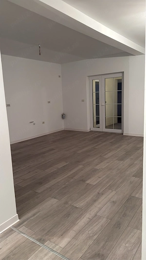 Duplex in comuna Sag zona Manastire - imagine 5