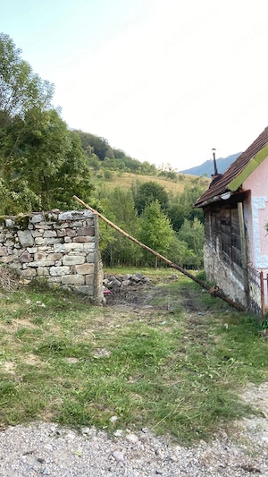 Teren 800mp Cuptoare  - imagine 3