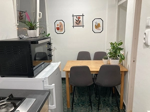 Apartament o camera Cantemir, Salca