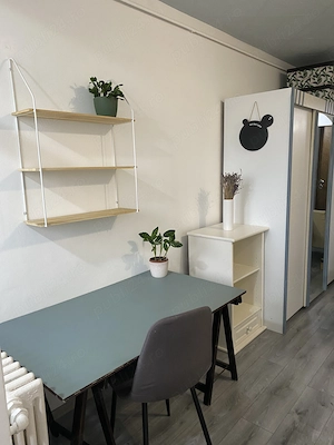 Apartament o camera Cantemir, Salca - imagine 4