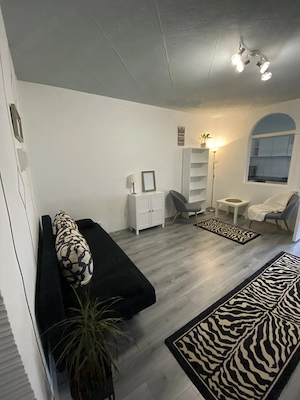 Apartament o camera Cantemir, Salca - imagine 3