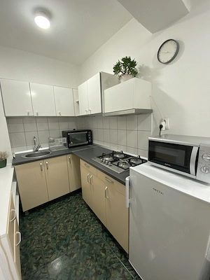 Apartament o camera Cantemir, Salca - imagine 5