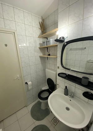 Apartament o camera Cantemir, Salca - imagine 7