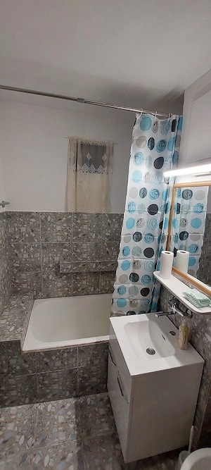 Persoana fizica inchiriez Apartament cu o Camera Zona Stefan Cel Mare - imagine 7