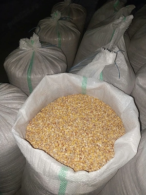 Porumb saci 50kg producție 2025