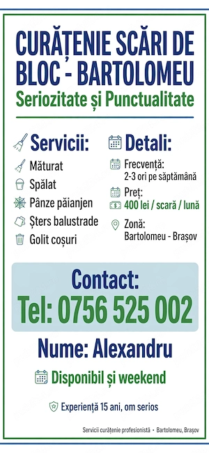 Curățenie scări bartolomeu 