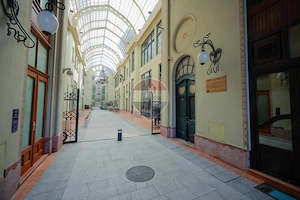 Palatul Vulturul Negru - apartament 3 camere, regim hotelier autorizat - imagine 15