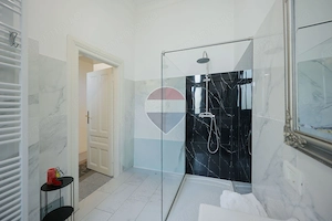 Palatul Vulturul Negru - apartament 3 camere, regim hotelier autorizat - imagine 8