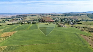 TEREN DE 10.18 HECTARE, COMPACT, BUZENI/BT, - imagine 4