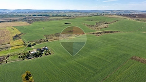 TEREN DE 10.18 HECTARE, COMPACT, BUZENI/BT, - imagine 3
