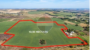 TEREN DE 10.18 HECTARE, COMPACT, BUZENI/BT, - imagine 2