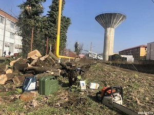 Toaletari copaci   defisari x tocare resturi vegetale x prestari servicii