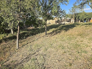 CASĂ  + 2.257 MP Teren intravilan   Plescoi, Berca, Jud. Buzau - imagine 9