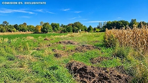 Teren intravilan 1.500 mp, 2 fronturi, Hilișeu-Horia, Botoșani