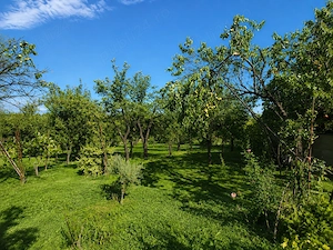 Proprietate 44 ari, casă + livadă + vie   acces pe 2 laturi - imagine 3