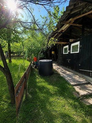 Proprietate 44 ari, casă + livadă + vie   acces pe 2 laturi - imagine 5