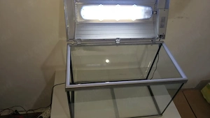 Vand acvariu Hailea 60 l + accesorii 300 ron - imagine 3