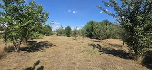 Vând Teren 2930 mp Loc. Mâsca Arad - imagine 4