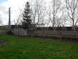 Vând grădină în Tg.Frumos - imagine 8