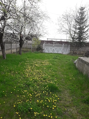 Vând grădină în Tg.Frumos - imagine 7