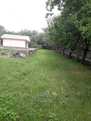 Vând grădină în Tg.Frumos - imagine 3
