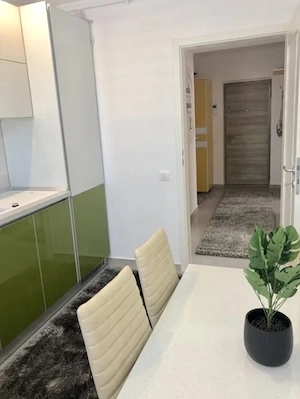  CHIRIE central in TULCEA apartament cu 2 camere - imagine 5