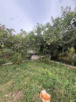 Casă de vânzare în Mineri, județul Tulcea - imagine 4